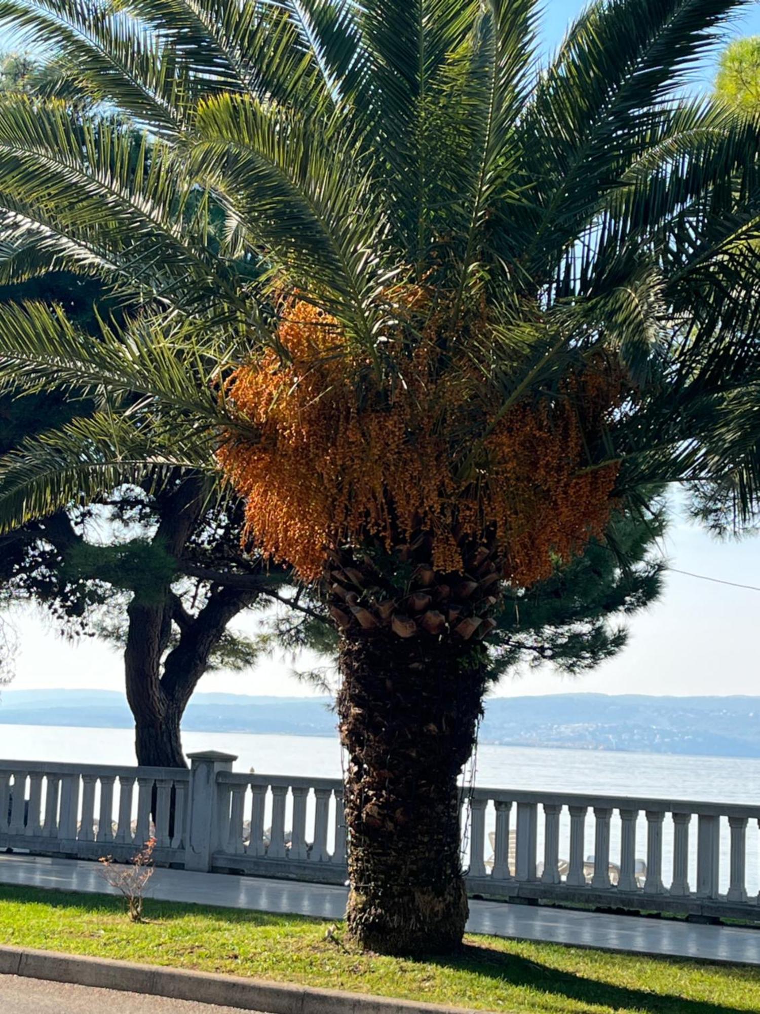 Crikvenica Right On The Beach Kültér fotó